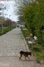 gepflasterter Gehweg mit Sitzbänken