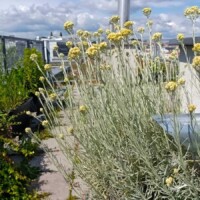 Dachterrasse