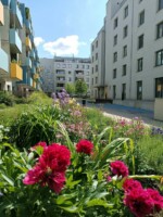 Sommerbeet