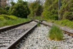 stillgelegte Gleise am Schuette-Lihotzky-Weg