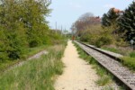 stillgelegte Gleise am Schuette-Lihotzky-Weg